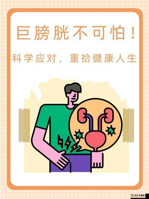 男人五十五性功能衰退怎么办：科学应对，重拾健康